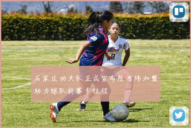 石家庄功夫队正式宣布陈浩玮加盟助力球队新赛季征程