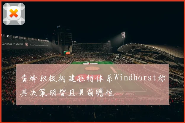 黄蜂积极构建独特体系Windhorst称其决策明智且具前瞻性